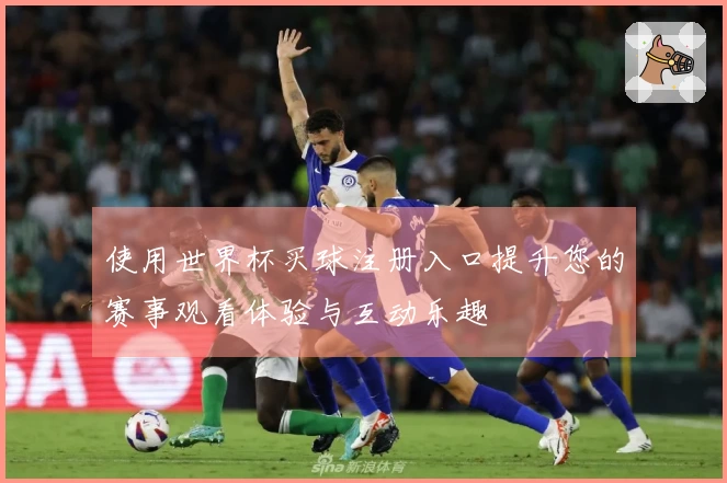 使用世界杯买球注册入口提升您的赛事观看体验与互动乐趣