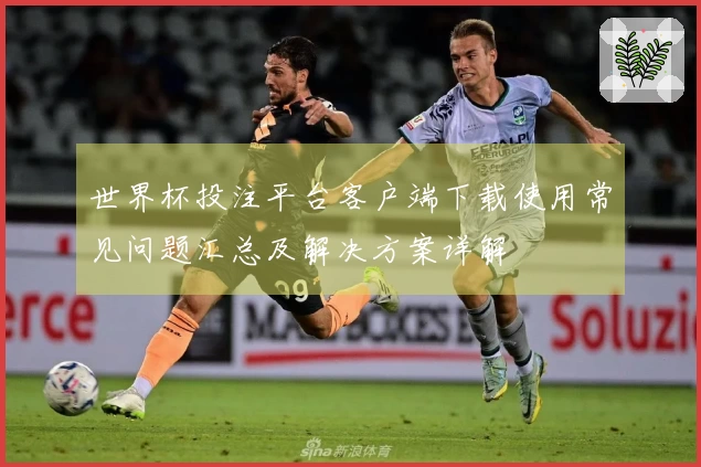 世界杯投注平台客户端下载使用常见问题汇总及解决方案详解