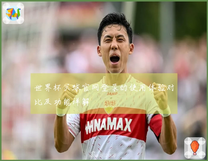 世界杯买球官网登录的使用体验对比及功能详解